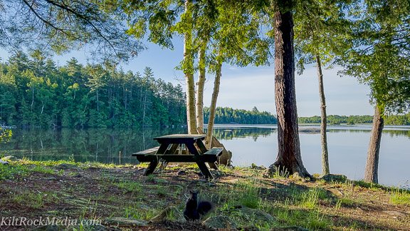 A view of the calm lake from the point with the picnic table included. A squirrel is expectantly watching in the foreground. This landscape shot was taken as part of the filming of the 'Landscape Theatre - Lakefront' series by KiltRockMedia.com.