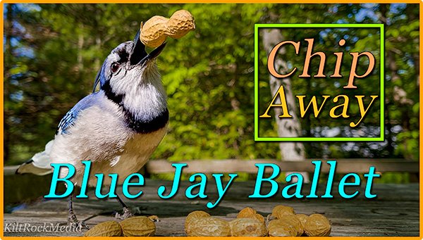Chip Away - Blue Jay Ballet. The Chip Away series is Playing Now! The Chip Away series from Kilt Rock Media is Now Available!