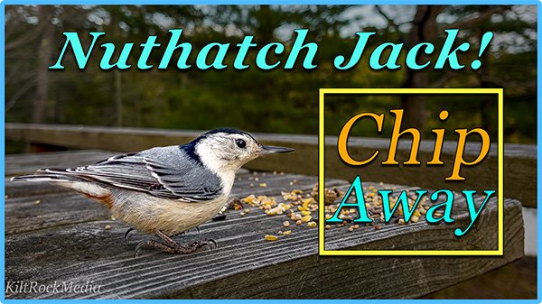 Chip Away - Nuthatch Jack. The Chip Away series is Playing Now! The Chip Away series from Kilt Rock Media is Now Available!